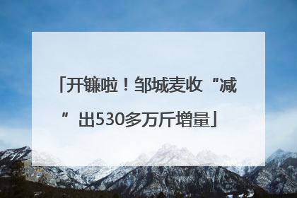 开镰啦！邹城麦收“减”出530多万斤增量